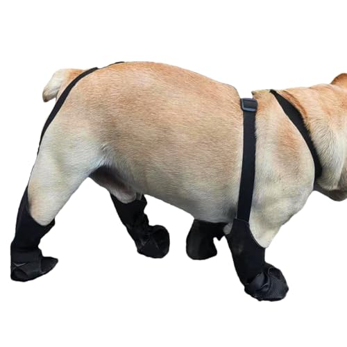 Ahuuen Hunde Hosenträger Stiefeletten | Schmutzabweisende Beinling Pfotenschutz Stiefel für Haustiere,Wasserdicht Schmutzabweisend Pfotenschutz Für Winter Schnee Regen Outdoor Spaziergänge Wandern Ahuuen Hunde Hosenträger Stiefeletten | Schmutzabweisende Beinling Pfotenschutz Stiefel für Haustiere,Wasserdicht Schmutzabweisend Pfotenschutz Für Winter Schnee Regen Outdoor Spaziergänge Wandern von Ahuuen