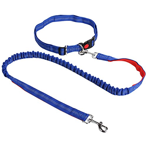 AiSi Hundeleine mit Bauchgurt, Joggingleine, Verstellbare Freihandleine mit Laufgürtel, Jogging Hundeleine für kleine und große Hunde, Leine für Joggen Laufen Wandern Blau AiSi Hundeleine mit Bauchgurt, Joggingleine, Verstellbare Freihandleine mit Laufgürtel, Jogging Hundeleine für kleine und große Hunde, Leine für Joggen Laufen Wandern Blau von AiSi