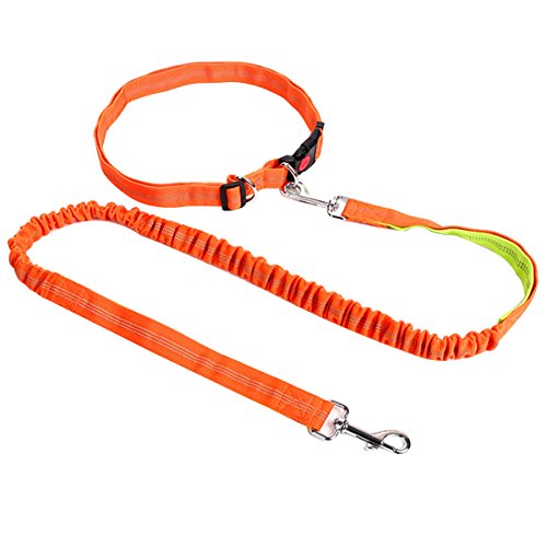 AiSi Hundeleine mit Bauchgurt, Joggingleine, Verstellbare Freihandleine mit Laufgürtel, Jogging Hundeleine für kleine und große Hunde, Leine für Joggen Laufen Wandern Orange AiSi Hundeleine mit Bauchgurt, Joggingleine, Verstellbare Freihandleine mit Laufgürtel, Jogging Hundeleine für kleine und große Hunde, Leine für Joggen Laufen Wandern Orange von AiSi