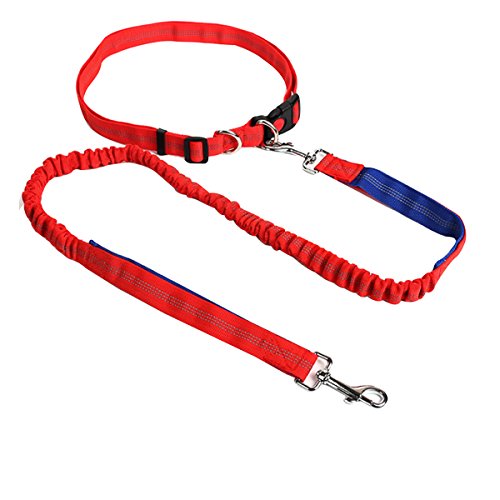 AiSi Hundeleine mit Bauchgurt, Joggingleine, Verstellbare Freihandleine mit Laufgürtel, Jogging Hundeleine für kleine und große Hunde, Leine für Joggen Laufen Wandern Rot AiSi Hundeleine mit Bauchgurt, Joggingleine, Verstellbare Freihandleine mit Laufgürtel, Jogging Hundeleine für kleine und große Hunde, Leine für Joggen Laufen Wandern Rot von AiSi