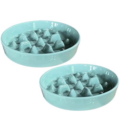 Keramik Slow Feeder Hundenapf 2er Set, Anti-Schling-Design, 2 Tassen Fassungsvermögen, 22 cm Durchmesser, Mintgrün von AiXception