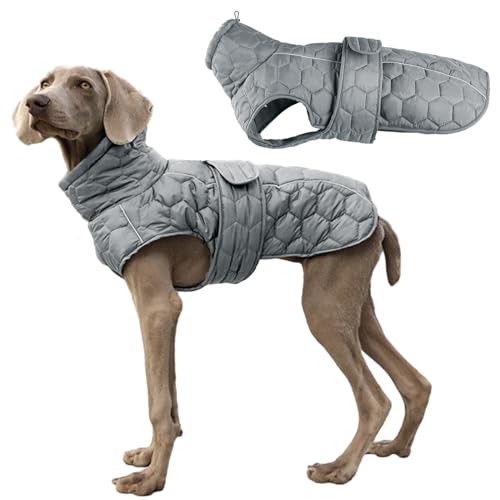 Aiboria Hundejacke Warme Hundemantel Winter Reflektierende Mittelgroße Welpen Hundepullover Fleece Winddichte Haustier Wintermantel Weste mit Gurtloch Grau S von Aiboria