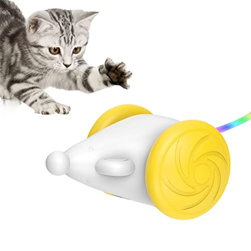 Aibyks Interaktives Katzenspielzeug Für Den Innenbereich - Automatisches Katzen-Maus-Spielzeug | USB Wiederaufladbare Elektrische Maus Katzenspielzeug Mit LED-Leuchten | Haustier-Übungsspielzeug von Aibyks