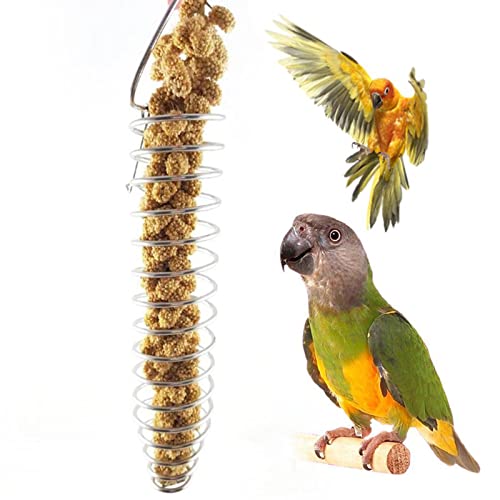 Aibyks Nahrungssuche Spielzeug für Papageien | Fenster-Vogelhäuschen | Edelstahl-Vogelfutterhalter für Käfig, Kleintier-Obst-Gemüse-Spieß, Futterspielzeug, Behandlung für Papageien, Kakadus von Aibyks
