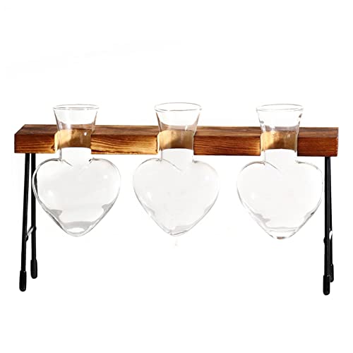 Pflanzenvermehrungsstation Terrarium | Tischkübel aus Glas mit Holzständer für Hydrokultur | Blumenzwiebel-Vase-Herz-Pflanzenterrarium für Home-Dekor Aibyks von Aibyks