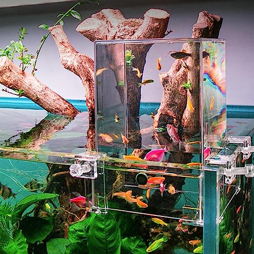 Überwasseraquarium - Überwasser-Aquarium | Umgekehrter Vakuum-Aquarium-Fischturm Aus Acryl | Transparentes Unterdruck-Vakuumaquarium, Lassen Sie Ihre Fische Über Dem Wasser „fliegen Aibyks von Aibyks