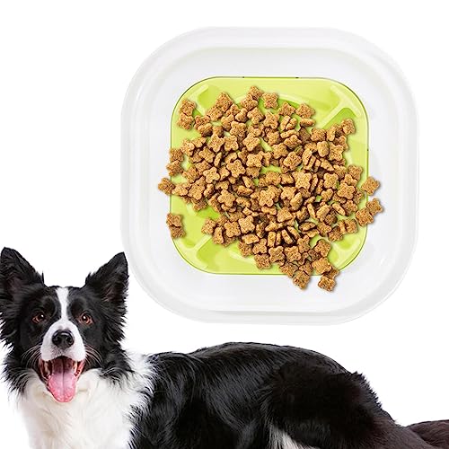 Verlangsamen Sie das Fressen von Hundenäpfen - Slow Feeder für Welpen - Welpen-Futternapf, Rutschfester Puzzle-Napf, lebensmittelechtes PP, verlangsamt das Fressen von Haustieren, verhindert Aibyks von Aibyks