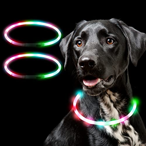 Leuchthalsband Hund, Aicharynic 2 Stück LED Hunde Halsbänder USB Wiederaufladbare Wasserdicht Längenverstellbarer LED Hundehalsband 3 Blinkende Lichter Sicherheit Halsband für Hunde von Aicharynic