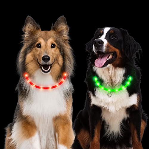 leuchthalsband Hund, 2 Stück Led Hundehalsband USB Aufladbar Wasserdicht 3 Blinkende Lichter Hunde Halsband Leuchtend Längenverstellbarere Haustier Sicherheit Kragen für Hunde Katzen von Aicharynic