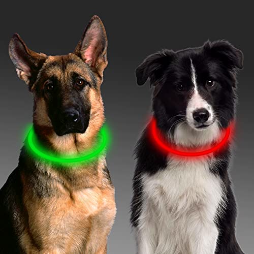 leuchthalsband Hund, 2 Stück Led Hundehalsband USB Aufladbar Wasserdicht 3 Blinkende Lichter Hunde Halsband Leuchtend Längenverstellbarere Haustier Sicherheit Kragen für Hunde von Aicharynic
