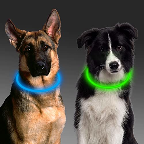 leuchthalsband Hund, 2 Stück Led Hundehalsband USB Aufladbar Wasserdicht 3 Blinkende Lichter Hunde Halsband Leuchtend Längenverstellbarere Haustier Sicherheit Kragen für Hunde von Aicharynic