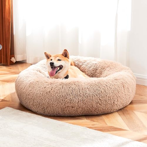 Hundebett für kleine Hunde und Katzen, waschbar, beruhigendes Donut-Haustierbett, 50,8 cm, rutschfest, rund, flauschig, Plüsch-Kunstfell, Anti-Angst, bequem zum Schlafen, 50,8 cm L x 50,8 cm B x 20,3 Hundebett für kleine Hunde und Katzen, waschbar, beruhigendes Donut-Haustierbett, 50,8 cm, rutschfest, rund, flauschig, Plüsch-Kunstfell, Anti-Angst, bequem zum Schlafen, 50,8 cm L x 50,8 cm B x 20,3 von Aidoly