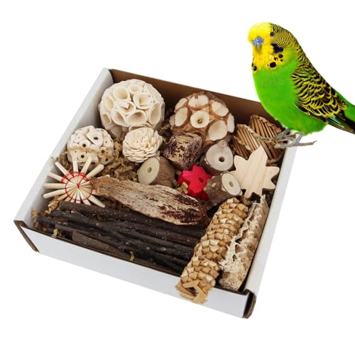 AiduduPet Natürliches Vogelfutterkasten-Spielzeug-Set, Fußspielzeug für Sittiche, Nymphensittiche, kleine bis mittelgroße Vögel AiduduPet Natürliches Vogelfutterkasten-Spielzeug-Set, Fußspielzeug für Sittiche, Nymphensittiche, kleine bis mittelgroße Vögel von AiduduPet