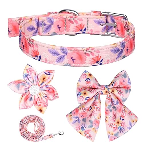 Hundehalsband und Leine, Set für kleine und mittelgroße Hunde, verstellbar, niedliches Welpenhalsband mit Dornschnalle, abnehmbare Fliege und Blume, Geschenk für Hündinnen, Größe S Hundehalsband und Leine, Set für kleine und mittelgroße Hunde, verstellbar, niedliches Welpenhalsband mit Dornschnalle, abnehmbare Fliege und Blume, Geschenk für Hündinnen, Größe S von AiduduPet