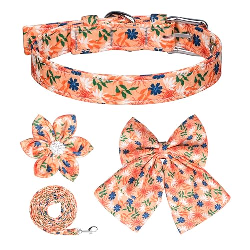 M Hundehalsbänder und Leine, Set für Mädchen, verstellbar, niedlich, mit Dornschnalle, abnehmbarer Fliege und Blume, Leine für kleine, mittelgroße Hunde, Orange M Hundehalsbänder und Leine, Set für Mädchen, verstellbar, niedlich, mit Dornschnalle, abnehmbarer Fliege und Blume, Leine für kleine, mittelgroße Hunde, Orange von AiduduPet