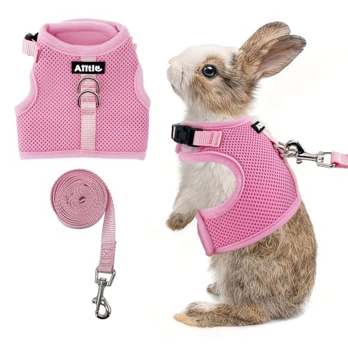 AIITLE Atmungsaktives Hasengeschirr und Leine, verstellbare Träger und Magic-Tape-Design, bequeme Passform, Weste für Welpen, Katzen, Eichhörnchen, Ratten, Kaninchen, Frettchen, Spaziergänge im Freien von Aiitle