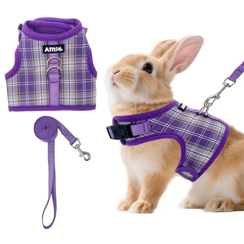 AIITLE Atmungsaktives Kaninchengeschirr und Leine, kariertes Muster, gepolsterte Weste mit Magic-Tape-Design, doppelte D-Ringe, verstellbar für kleine Tiere, Indoor-Outdoor-Training, Camping, Lila, M AIITLE Atmungsaktives Kaninchengeschirr und Leine, kariertes Muster, gepolsterte Weste mit Magic-Tape-Design, doppelte D-Ringe, verstellbar für kleine Tiere, Indoor-Outdoor-Training, Camping, Lila, M von Aiitle