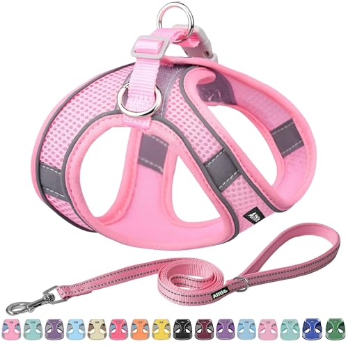 AIITLE Bequemes Hundegeschirr und Leine Set für Spaziergänge - Step in Vest Harness, Reflektierende Bänder, Einstellbare No Pull Puppy Essentials, für kleine Hunde und Hauskatzen Reines Rosa XS AIITLE Bequemes Hundegeschirr und Leine Set für Spaziergänge - Step in Vest Harness, Reflektierende Bänder, Einstellbare No Pull Puppy Essentials, für kleine Hunde und Hauskatzen Reines Rosa XS von Aiitle