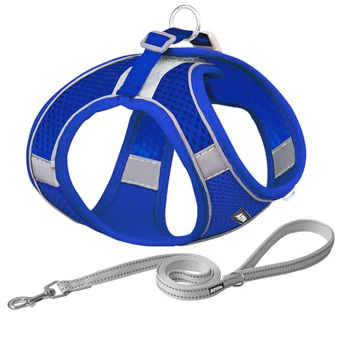 AIITLE Bequemes Hundegeschirr und Leine Set zum Gassi gehen - Step in Vest Harness, Reflektierende Bänder, Einstellbare No Pull Puppy Essentials, für kleine Hunde und Hauskatzen Königsblau XS AIITLE Bequemes Hundegeschirr und Leine Set zum Gassi gehen - Step in Vest Harness, Reflektierende Bänder, Einstellbare No Pull Puppy Essentials, für kleine Hunde und Hauskatzen Königsblau XS von Aiitle