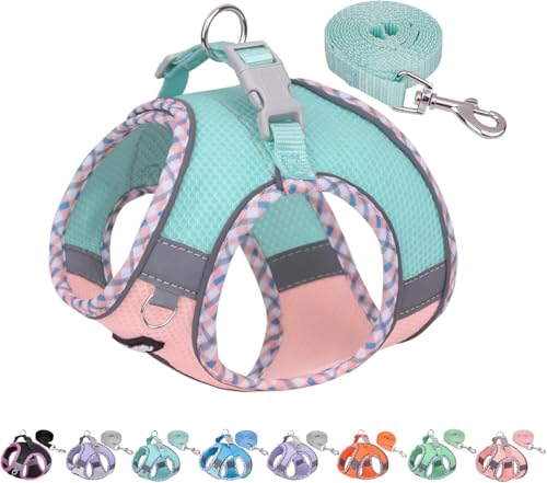 AIITLE Durable Hundegeschirr und Leine, Set zum Gehen, Step in Weste Geschirr, reflektierende Bänder, weich atmungsaktiv, Haustierbedarf, für extra kleine Hunde und Hauskatzen, Türkis-Rosa, XXXS von Aiitle