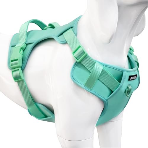 AIITLE Easy Walk Hundegeschirr, No-Pull-Haustiergeschirr mit 4-Punkt-Verstelldesign, atmungsaktiv für einfaches Gehen, ausbruchsicheres Westengeschirr für kleine und mittelgroße Hunde, Grün S AIITLE Easy Walk Hundegeschirr, No-Pull-Haustiergeschirr mit 4-Punkt-Verstelldesign, atmungsaktiv für einfaches Gehen, ausbruchsicheres Westengeschirr für kleine und mittelgroße Hunde, Grün S von Aiitle