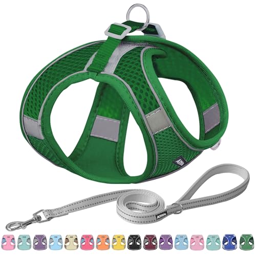 AIITLE Easy Walk Hundegeschirr und Leine Set - Haustierversorgung No Pull, Step in einstellbares Hundegeschirr No Choke Over, einfach zu setzen auf mittlere Hunde Grün L AIITLE Easy Walk Hundegeschirr und Leine Set - Haustierversorgung No Pull, Step in einstellbares Hundegeschirr No Choke Over, einfach zu setzen auf mittlere Hunde Grün L von Aiitle