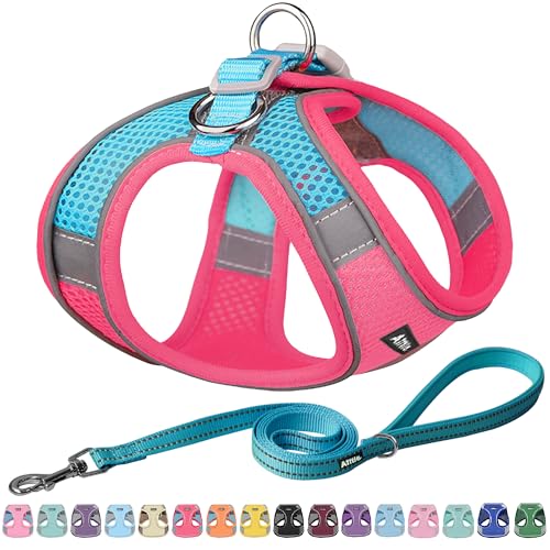 AIITLE Easy Walk Hundegeschirr und Leine Set - Haustierversorgung No Pull, Step in einstellbares Hundegeschirr No Choke Over, einfach zu setzen auf mittlere Hunde Knalliges Rosa L AIITLE Easy Walk Hundegeschirr und Leine Set - Haustierversorgung No Pull, Step in einstellbares Hundegeschirr No Choke Over, einfach zu setzen auf mittlere Hunde Knalliges Rosa L von Aiitle