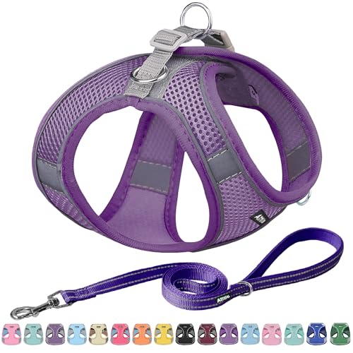 AIITLE Easy Walk Hundegeschirr und Leine Set - Haustierversorgung No Pull, Step in einstellbares Hundegeschirr No Choke Over, einfach zu setzen auf mittlere Hunde Reines Lila L AIITLE Easy Walk Hundegeschirr und Leine Set - Haustierversorgung No Pull, Step in einstellbares Hundegeschirr No Choke Over, einfach zu setzen auf mittlere Hunde Reines Lila L von Aiitle