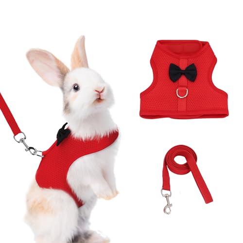 AIITLE Hasengeschirr und Leine Set mit süßer Schleife, weiches, atmungsaktives Netzwestengeschirr für Kaninchen, Kätzchen, Frettchen, kleine Schweinchen, Welpen, Spazierzubehör, Rot, M von Aiitle