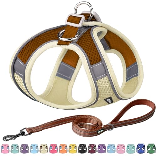 AIITLE Hundegeschirr, No-Pull Katzengeschirr mit Einer Leine, einstellbare reflektierende Hundeweste, Outdoor Walking für extra kleine Hunde und Hauskatzen Beige XXXS AIITLE Hundegeschirr, No-Pull Katzengeschirr mit Einer Leine, einstellbare reflektierende Hundeweste, Outdoor Walking für extra kleine Hunde und Hauskatzen Beige XXXS von Aiitle