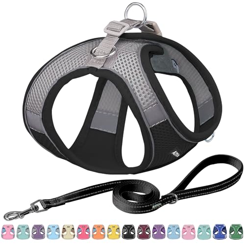 AIITLE Hundegeschirr, No-Pull Katzengeschirr mit Einer Leine, einstellbare reflektierende Hundeweste, Welpengeschirr Escape Proof, Outdoor Walking für extra kleine Hunde und Hauskatzen Schwarz XXXS AIITLE Hundegeschirr, No-Pull Katzengeschirr mit Einer Leine, einstellbare reflektierende Hundeweste, Welpengeschirr Escape Proof, Outdoor Walking für extra kleine Hunde und Hauskatzen Schwarz XXXS von Aiitle