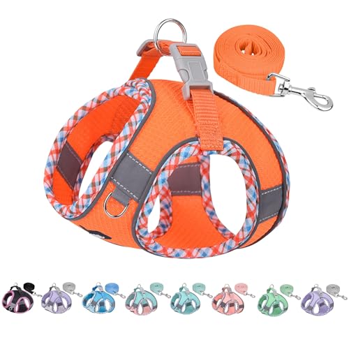 AIITLE Kleines Hundegeschirr, Katzengeschirr mit Leine, einstellbares Hundegeschirr mit Schnellverschluss, reflektierende Weste für extra kleine Hunde und Hauskatzen Orange XXS AIITLE Kleines Hundegeschirr, Katzengeschirr mit Leine, einstellbares Hundegeschirr mit Schnellverschluss, reflektierende Weste für extra kleine Hunde und Hauskatzen Orange XXS von Aiitle