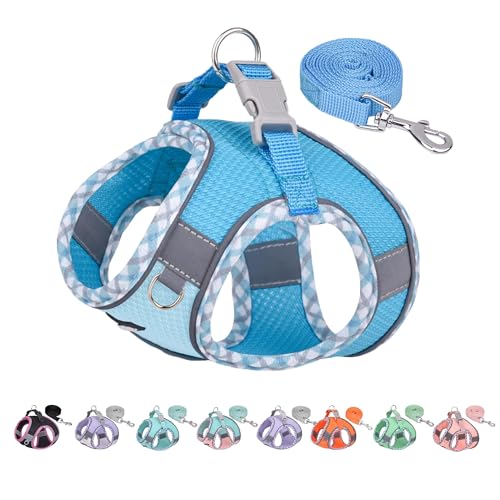 AIITLE Hundegeschirr für kleine Hunde, No-Pull Pet Harness mit Einer Leine, Step in Hundegeschirr mit atmungsaktivem Mesh und Schnellverschluss-Schnalle, Reflektierende Outdoor-Haustierweste für extra von Aiitle