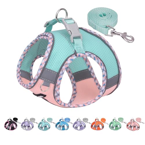 AIITLE Kleines Hundegeschirr, No-Pull Katzengeschirr mit Leine, einstellbares Hundegeschirr, reflektierende Weste für extra kleine Hunde und Hauskatzen Türkis-Rosa XXS AIITLE Kleines Hundegeschirr, No-Pull Katzengeschirr mit Leine, einstellbares Hundegeschirr, reflektierende Weste für extra kleine Hunde und Hauskatzen Türkis-Rosa XXS von Aiitle