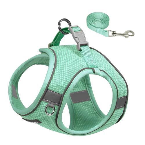 AIITLE Hundegeschirr für kleine Hunde, kein Ziehen, Katzengeschirr mit Leine, verstellbares Welpengeschirr mit Schnellverschluss-Schnalle, reflektierende Outdoor-Haustierweste für extra kleine Hunde AIITLE Hundegeschirr für kleine Hunde, kein Ziehen, Katzengeschirr mit Leine, verstellbares Welpengeschirr mit Schnellverschluss-Schnalle, reflektierende Outdoor-Haustierweste für extra kleine Hunde von Aiitle