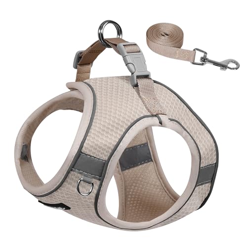 AIITLE Hundegeschirr für kleine Hunde, kein Ziehen, Katzengeschirr mit Leine, verstellbares Welpengeschirr mit Schnellverschluss-Schnalle, reflektierende Outdoor-Haustierweste für extra kleine Hunde AIITLE Hundegeschirr für kleine Hunde, kein Ziehen, Katzengeschirr mit Leine, verstellbares Welpengeschirr mit Schnellverschluss-Schnalle, reflektierende Outdoor-Haustierweste für extra kleine Hunde von Aiitle