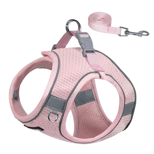 AIITLE Hundegeschirr für mittelgroße Hunde, Anti-Zug-Hundeweste mit Leine, ausbruchsicheres Haustier-Outdoor-Geschirr, Welpen-Essentials für mittelgroße Hunde, Rosa, M AIITLE Hundegeschirr für mittelgroße Hunde, Anti-Zug-Hundeweste mit Leine, ausbruchsicheres Haustier-Outdoor-Geschirr, Welpen-Essentials für mittelgroße Hunde, Rosa, M von Aiitle