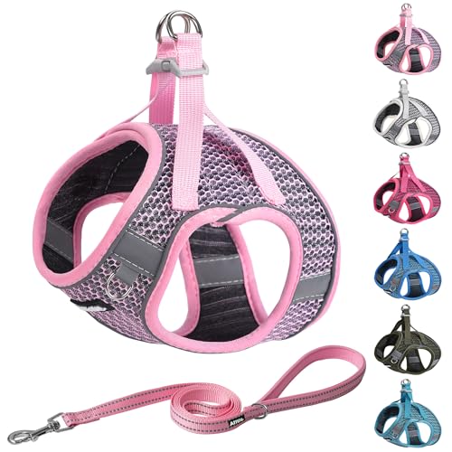 AIITLE Hundegeschirr mit Leine, reflektierenden Bändern, weich, atmungsaktiv, Haustierbedarf, Outdoor-Haustierweste für extra kleine Hunde und Hauskatzen, Rosa, Größe XXXS AIITLE Hundegeschirr mit Leine, reflektierenden Bändern, weich, atmungsaktiv, Haustierbedarf, Outdoor-Haustierweste für extra kleine Hunde und Hauskatzen, Rosa, Größe XXXS von Aiitle