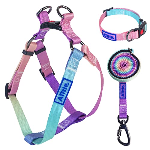 AIITLE Hundegeschirr mit Leine, verstellbar, strapazierfähig, kein Ziehen, Schnalle mit Verriegelungssystem, doppelter D-Ring, für kleine, mittelgroße und große Hunde, rosa Farbverlauf, S AIITLE Hundegeschirr mit Leine, verstellbar, strapazierfähig, kein Ziehen, Schnalle mit Verriegelungssystem, doppelter D-Ring, für kleine, mittelgroße und große Hunde, rosa Farbverlauf, S von Aiitle
