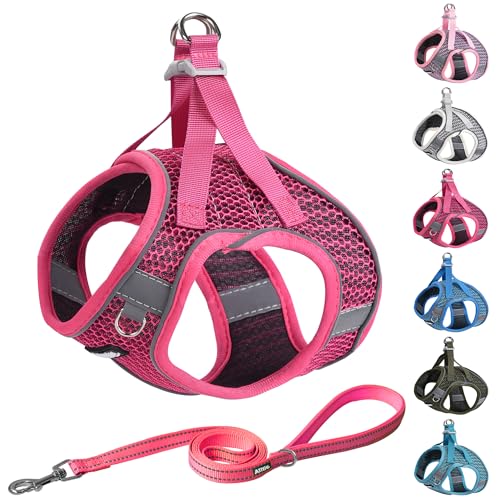 AIITLE Hundegeschirr mit Leine, wetterfest, atmungsaktives Netz, reflektierende Streifen, verstellbar, ausbruchsicher, für mittelgroße Hunde, Hot Pink, M AIITLE Hundegeschirr mit Leine, wetterfest, atmungsaktives Netz, reflektierende Streifen, verstellbar, ausbruchsicher, für mittelgroße Hunde, Hot Pink, M von Aiitle