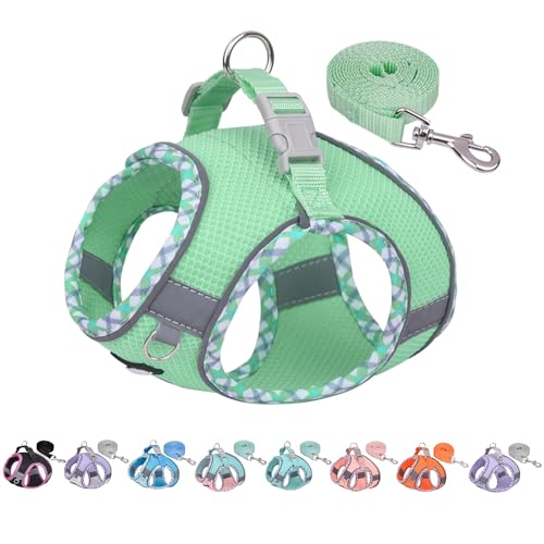 AIITLE Hundegeschirr und Leine Set, No Pull Schritt in Welpengeschirr mit Super atmungsaktivem Mesh, reflektierende Welpen Essentials für die Ausbildung für kleine Hunde, Katzen Salbei XS AIITLE Hundegeschirr und Leine Set, No Pull Schritt in Welpengeschirr mit Super atmungsaktivem Mesh, reflektierende Welpen Essentials für die Ausbildung für kleine Hunde, Katzen Salbei XS von Aiitle