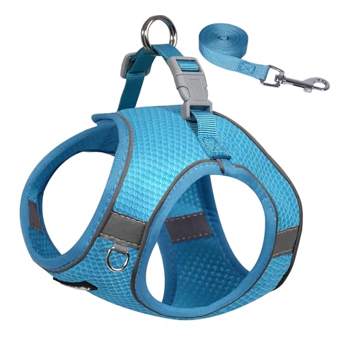AIITLE Hundegeschirr und Leinen-Set, kein Ziehen, Einsteigen, Welpengeschirr mit super atmungsaktivem Netzgewebe, reflektierendes Outdoor-Spaziergang, Training für kleine Hunde, Katzen, Blau, XS AIITLE Hundegeschirr und Leinen-Set, kein Ziehen, Einsteigen, Welpengeschirr mit super atmungsaktivem Netzgewebe, reflektierendes Outdoor-Spaziergang, Training für kleine Hunde, Katzen, Blau, XS von Aiitle