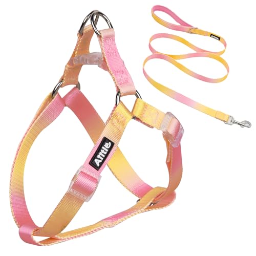 AIITLE Hundegeschirr und Leine, kein Ziehen, schnell anzubringen, einfach für Training und Spaziergänge, stabile Schnalle und doppelter D-Ring, Welpengeschirr für kleine Hunde, Gelb-Rosa, Farbverlauf AIITLE Hundegeschirr und Leine, kein Ziehen, schnell anzubringen, einfach für Training und Spaziergänge, stabile Schnalle und doppelter D-Ring, Welpengeschirr für kleine Hunde, Gelb-Rosa, Farbverlauf von Aiitle