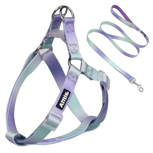 AIITLE Hundegeschirr und Leine, kein Ziehen, schnell anzubringen, einfach für Training und Spaziergänge, stabile Schnalle und doppelter D-Ring, Welpenweste für kleine Hunde, Violett-Grün, Farbverlauf AIITLE Hundegeschirr und Leine, kein Ziehen, schnell anzubringen, einfach für Training und Spaziergänge, stabile Schnalle und doppelter D-Ring, Welpenweste für kleine Hunde, Violett-Grün, Farbverlauf von Aiitle