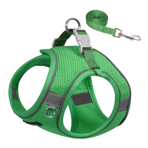 AIITLE No Pull Hundegeschirr und Leinen-Set, Step-in verstellbares Hundegeschirr mit gepolsterter Weste für jedes Wetter, reflektierendes Haustiergeschirr, leicht anzuziehen für kleine Hunde, Grün, S AIITLE No Pull Hundegeschirr und Leinen-Set, Step-in verstellbares Hundegeschirr mit gepolsterter Weste für jedes Wetter, reflektierendes Haustiergeschirr, leicht anzuziehen für kleine Hunde, Grün, S von Aiitle