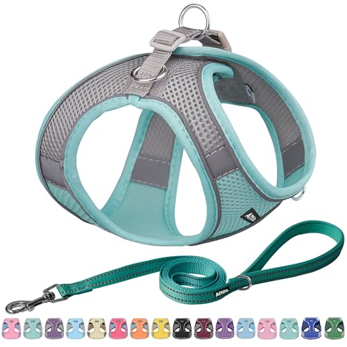 AIITLE Bequemes Hundegeschirr und Leine für Spaziergänge - Schritt in Weste Geschirr, reflektierende Bänder, verstellbare No Pull Puppy Essentials, für kleine Hunde und Hauskatzen Türkis XS von Aiitle