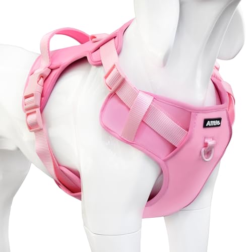 AIITLE Hundegeschirr zum Spazierengehen – Leichtes Haustiergeschirr mit 2 Leinenclips und weich gepolstertem Griff, für Welpen und kleine Hunde, Rosa, XS AIITLE Hundegeschirr zum Spazierengehen – Leichtes Haustiergeschirr mit 2 Leinenclips und weich gepolstertem Griff, für Welpen und kleine Hunde, Rosa, XS von Aiitle