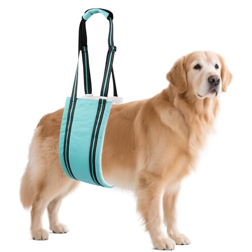 AIITLE Hundetragetuch zur Unterstützung der Hinterbeine – verstellbares, reflektierendes Design mit Plüschpolsterung, ideal für ältere/arthritische Hunde und zur Erholung nach Operationen (Türkis, L) AIITLE Hundetragetuch zur Unterstützung der Hinterbeine – verstellbares, reflektierendes Design mit Plüschpolsterung, ideal für ältere/arthritische Hunde und zur Erholung nach Operationen (Türkis, L) von Aiitle
