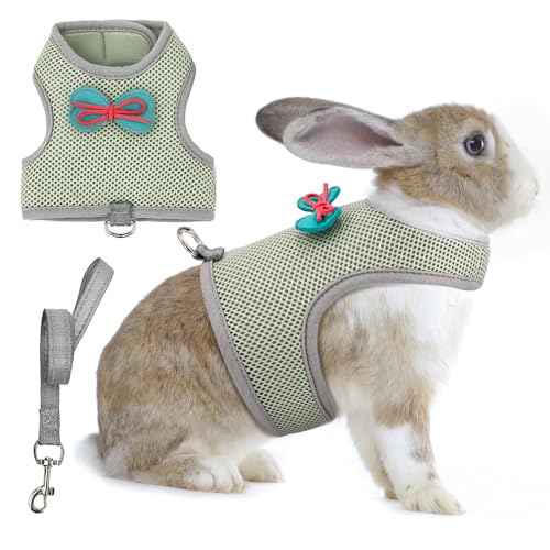 AIITLE Kaninchengeschirr und Leine, Set mit niedlicher Schleife, Hasen-Leine, Netzgewebe, ausbruchsicher, Spazierengehen, Training für kleine Tiere, Haustiere, Kätzchen, Welpen, Eichhörnchen, von Aiitle
