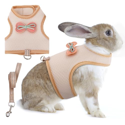 AIITLE Kaninchengeschirr und Leine, Set mit niedlicher Schleife, Hasen-Leine, Netzgewebe, ausbruchsicher, Spazierengehen, Training für kleine Tiere, Haustiere, Kätzchen, Welpen, Eichhörnchen, von Aiitle